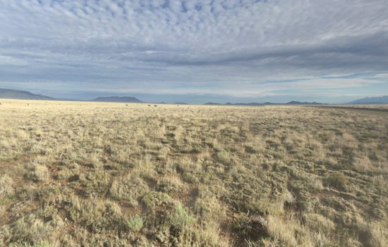 #L05883 5 Acres in Rio Grande Ranches