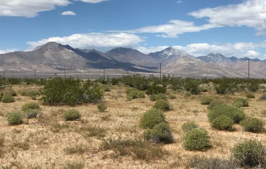 #L07349-1 1.96 Acres Near Inyokern, CA